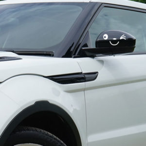 Smiley-Face-Design-Aufkleber-Dekoration-fur-Auto-Seitenspiegel-Rover