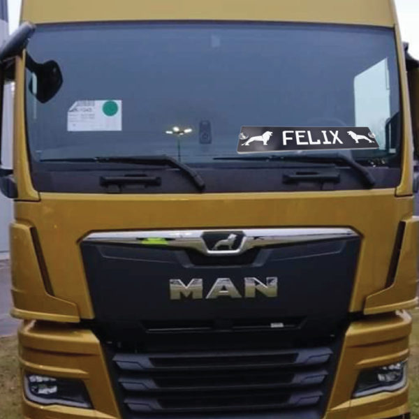 man-felix-lkw